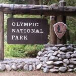 From Seattle: Olympic National Park Full Day Tour - What’s Included and What’s Not