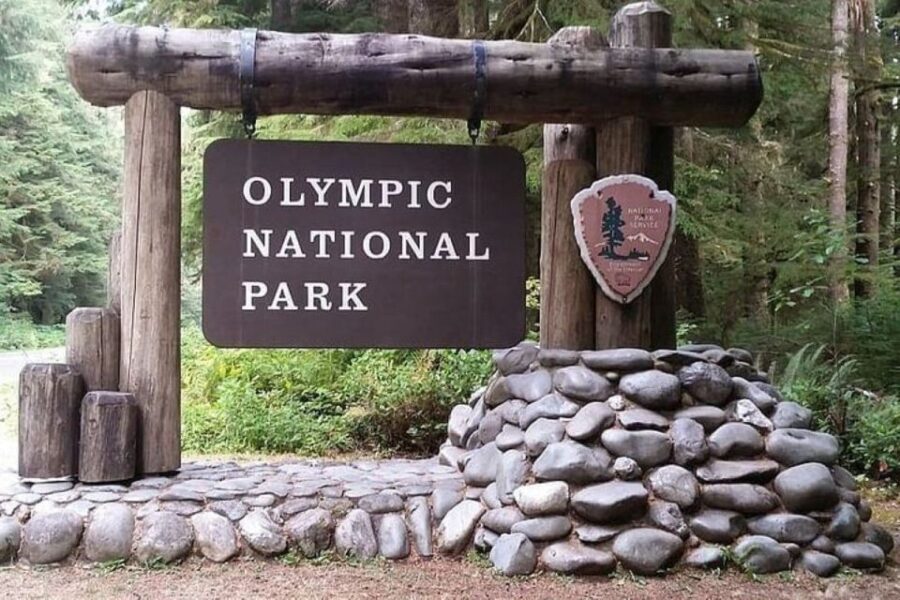 From Seattle: Olympic National Park Full Day Tour - What’s Included and What’s Not
