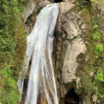 From Seattle: Pacific Northwest Waterfalls & Hiking Tour - An In-Depth Review of the Pacific Northwest Waterfalls & Hiking Tour