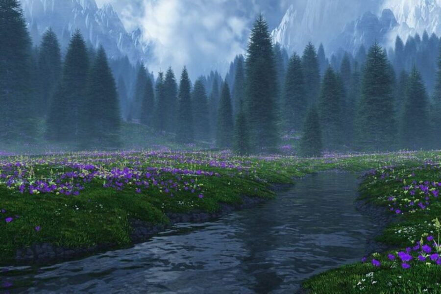 From Seattle: Twilight Forks Washington Tour - What’s Included and What’s Not