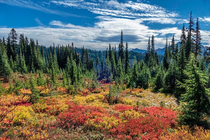 From Seattle:Hiking in Mount Rainier Private Tour - Final Thoughts: Is This Tour Worth It?