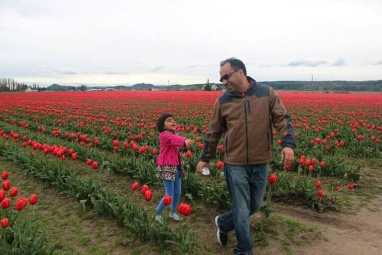 From Seattle:Tulip Festival at Skagit Valley and La Conner - What’s Included and What to Bring