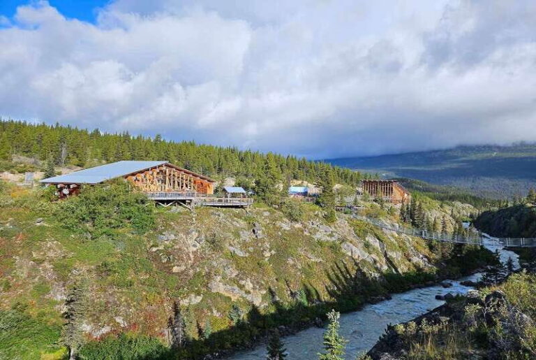 From Skagway: White Pass and Yukon Suspension Bridge Tour - Who Is This Tour Best For?