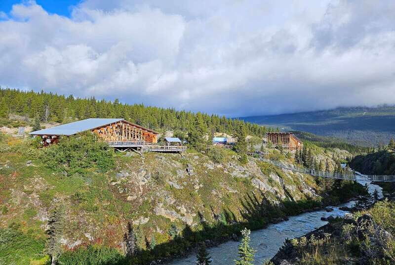 From Skagway: White Pass and Yukon Suspension Bridge Tour - Who Is This Tour Best For?