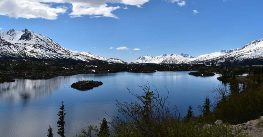 From Skagway: White Pass Summit Guided Bus Tour - Detailed Review of the Tour Experience