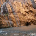 From Springdale: The Zion Narrows Hike with Lunch - What Makes This Tour Stand Out?