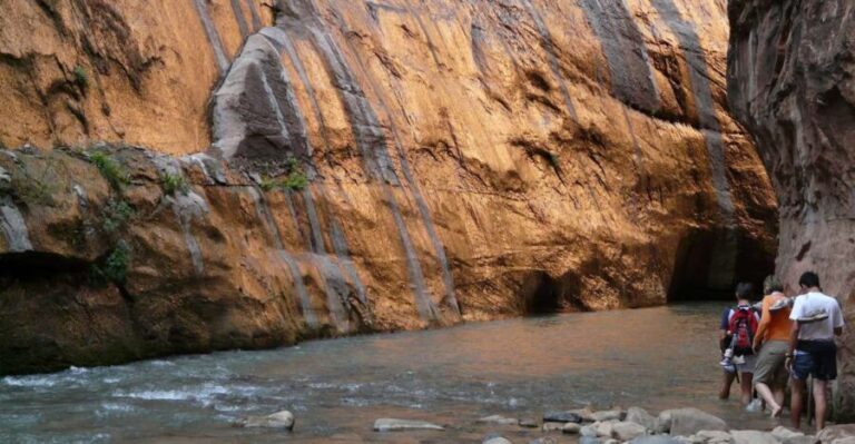 From Springdale: The Zion Narrows Hike with Lunch - What Makes This Tour Stand Out?