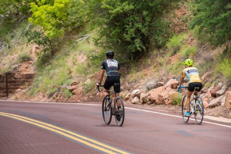 From Springdale: Zion National Park Bike Tour - Itinerary Breakdown