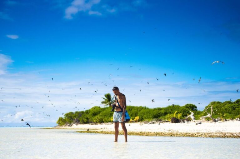 From Tahiti: Tetiaroa Island Tour by Sailing Catamaran - Practical Details and What to Expect