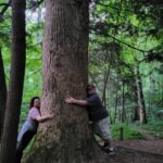 From Townsend: Great Smoky Mountains National Park Hiking - Final Thoughts: Is This the Right Tour for You?