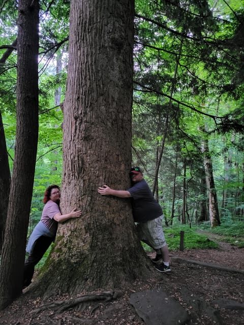 From Townsend: Great Smoky Mountains National Park Hiking - Final Thoughts: Is This the Right Tour for You?