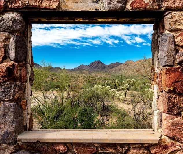 From Tucson: Sonoran Desert with Desert Museum Ticket - A Complete Breakdown of the Tour Experience