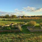 From Washington, DC: Virginia Wine Country Private Day-Trip - The Sum Up