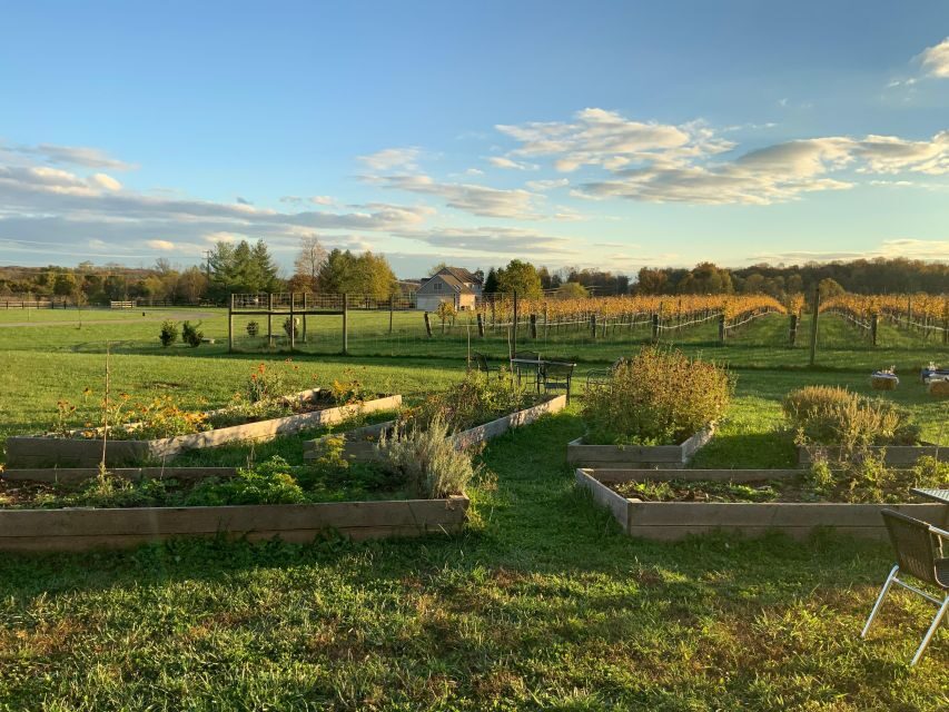 From Washington, DC: Virginia Wine Country Private Day-Trip - The Sum Up