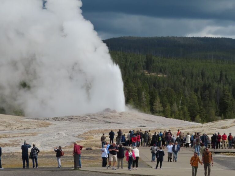 From West Yellowstone: Lower Loop Active Van Tour - What Makes This Tour Stand Out?