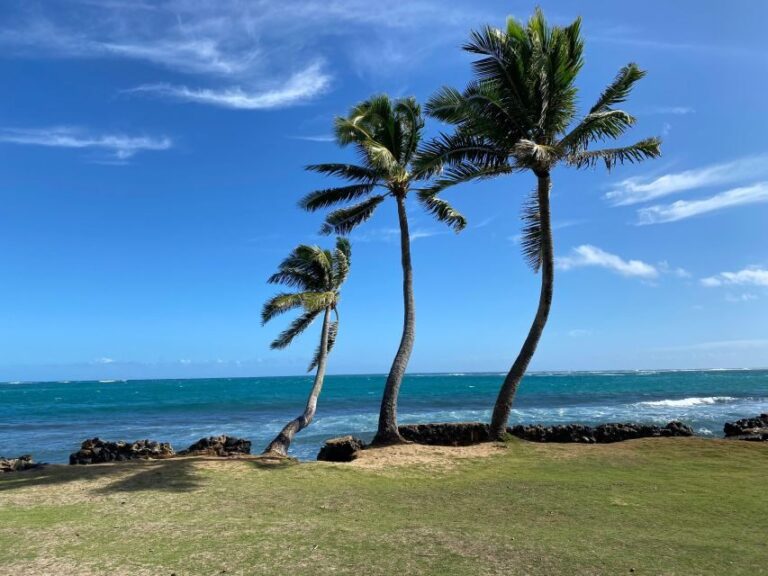 Full Day Best of Oahu Sightseeing Tour - The Value of a Private, Customizable Tour