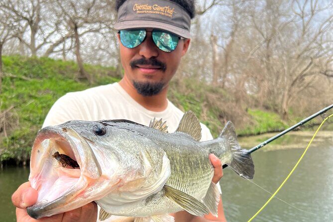 Full Day Guided Fishing Tour in Canyon Lake - Who Would Love This Tour?