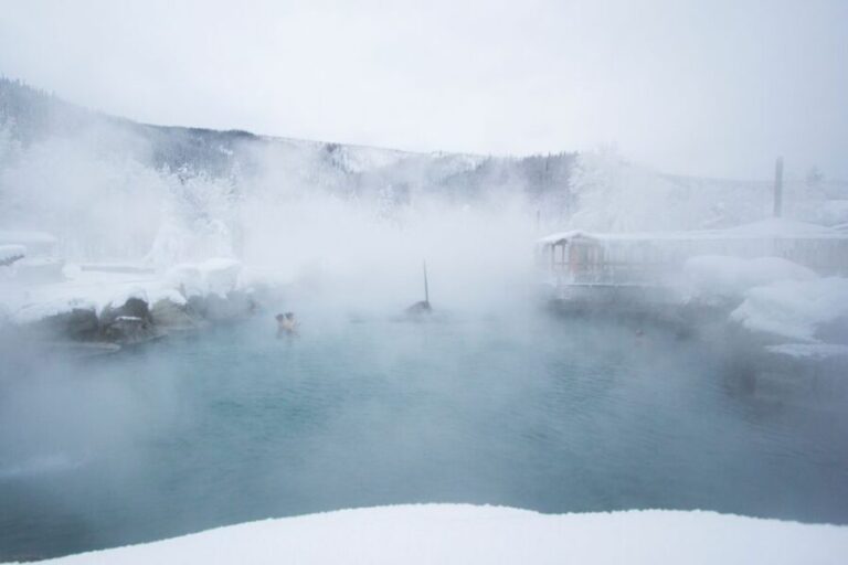 Full Day Ice Museum and Chena Hot Springs Tour - Authentic Insights from Reviewers