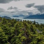 Full-Day Mount Riley Hike from Haines - Authenticity and Unique Insights from Past Participants