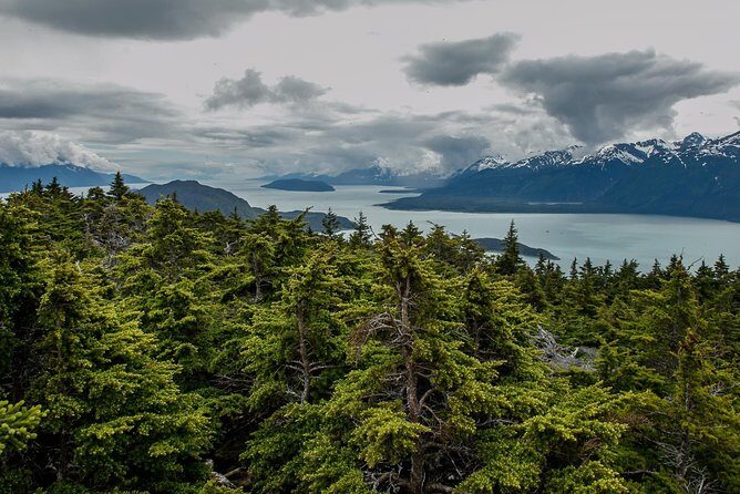 Full-Day Mount Riley Hike from Haines - Authenticity and Unique Insights from Past Participants