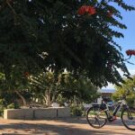 Full Day Performance eBike Rental - Frequently Asked Questions