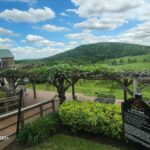 Full Day Winery Tour from Metro DC & Leesburg - 3 Wineries - What’s Included and What’s Not