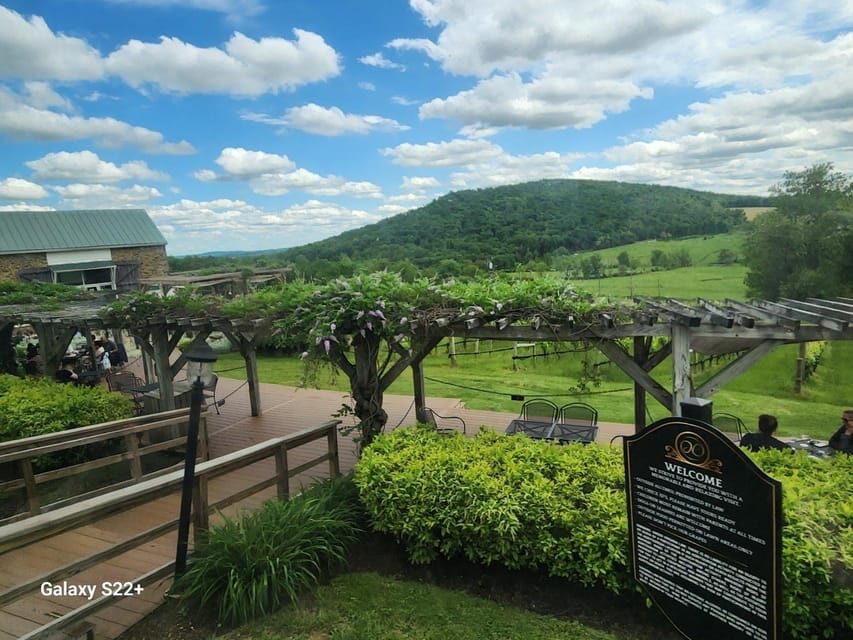 Full Day Winery Tour from Metro DC & Leesburg - 3 Wineries - What’s Included and What’s Not