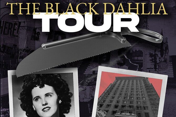 Funeral Limo Tour Hollywood Horror Story: The Black Dahlia - Analyzing the Funeral Limo Tour: Hollywoods Dark Side