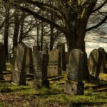 Galveston: Old City Cemetery Walking Tour with Local Guide - An In-Depth Look at the Old City Cemetery Walking Tour