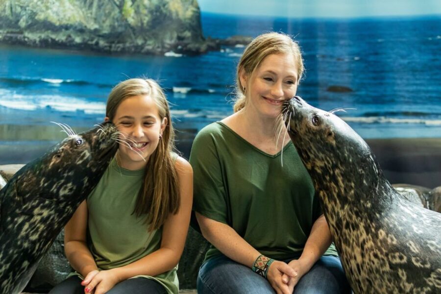 Georgia Aquarium: Sea Lion Encounter - Practical Details & What to Expect