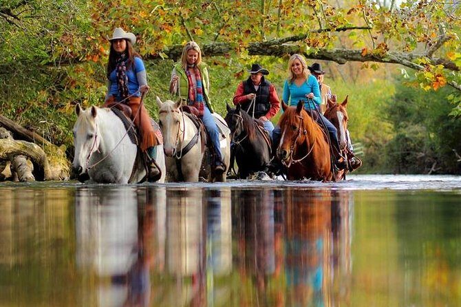 Georgia Horseback Ride with Wine Tasting - The Value and Pricing