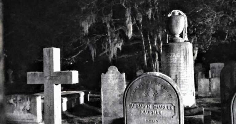Ghost Tour - Charleston Dark History & Ghost Tour With Adam - Who Will Love This Tour?