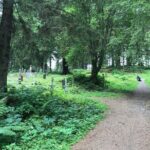 Ghosts of Historic Sitka - Walking Tour - Final Thoughts: Who Will Love This Tour?