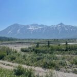 Glacial Lake, Waterfall and rainforest. Beauty of Turnagain! - What You Can Expect on the Tour