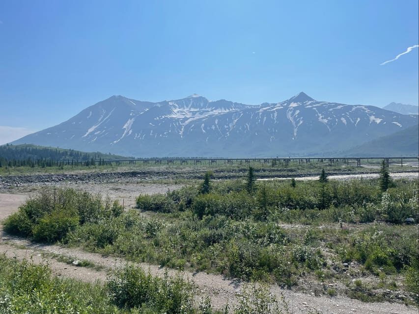 Glacial Lake, Waterfall and rainforest. Beauty of Turnagain! - What You Can Expect on the Tour
