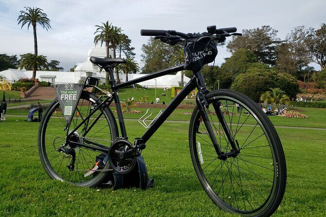 Golden Gate Park Bike Rentals - Final Thoughts: Is It Worth It?