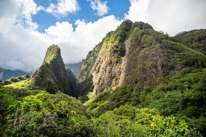 Golden Pineapples & Hidden Gems: A Private Upcountry Tour - Authentic Guest Feedback