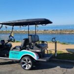 Golf Cart Rentals LSV in Carlsbad - Authentic Perspectives from Past Travelers