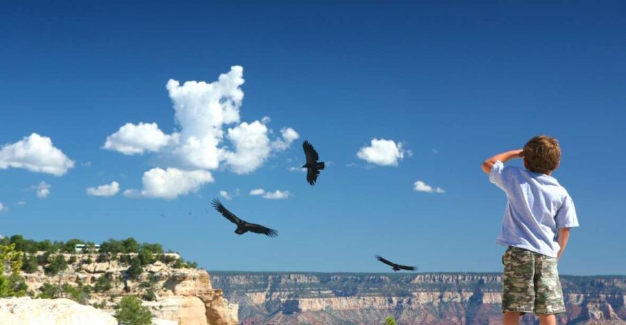Grand Canyon: Morning Off-Road Safari with Skip the Gate - Authentic Insights from Reviewers