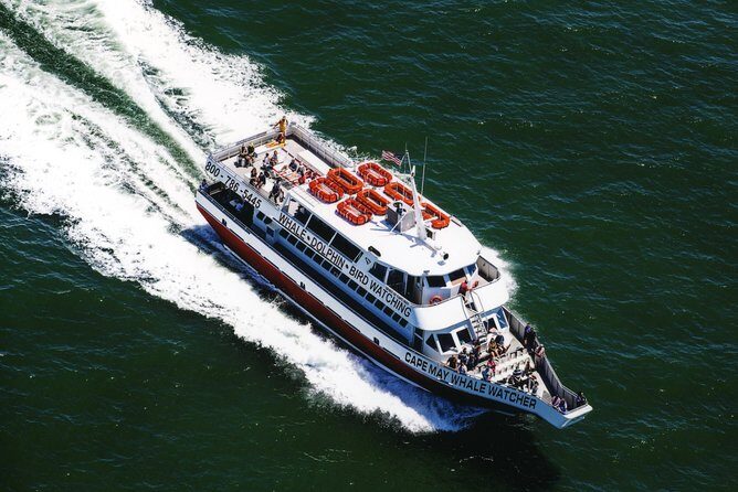 Grand Lighthouse Tour from Cape May - The Sum Up: Is the Cape May Grand Lighthouse Tour Worth It?