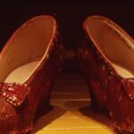 Grand Rapids: Ruby Slipper Theft Guided Tour - Who Should Book This Tour?