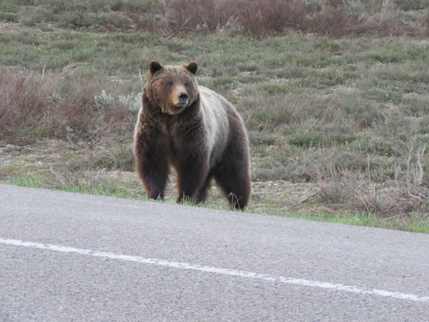 Grand Teton National Park: Full-Day Tour with Boat Ride - The Value and Practicalities