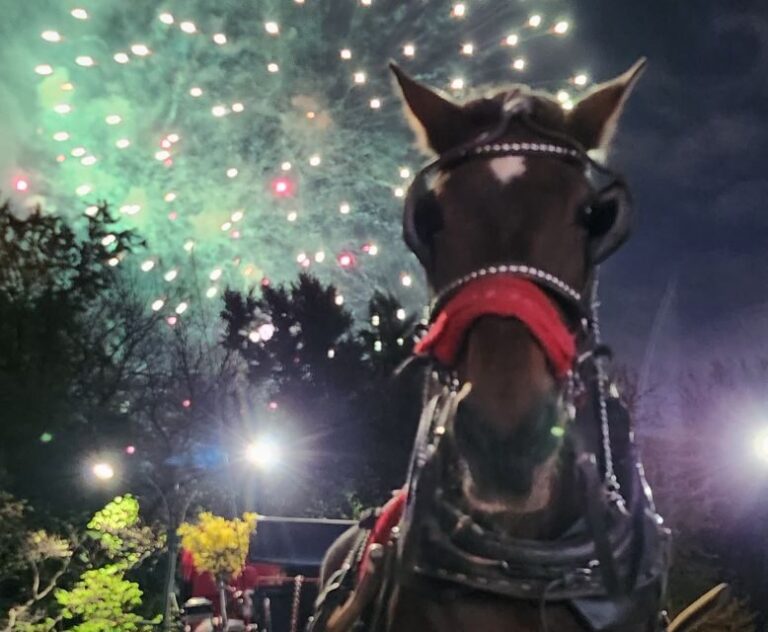 Grand Tour: Central Park, Rockefeller Center & Times Square - Discovering the Itinerary: The Heart of NYC in a Carriage