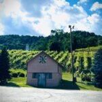 Grandfather Mountain Private Wine & Dine Tour from Asheville - What’s Included and How It Adds Value