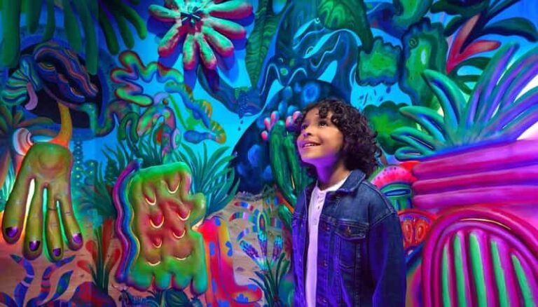 Grapevine: Meow Wolf The Real Unreal Ticket - Practical Details and Tips