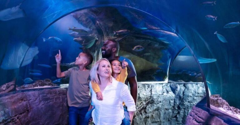 Grapevine: SEA LIFE Grapevine Aquarium General Admission - Who Will Love This Aquarium?