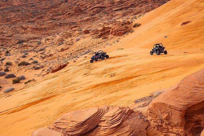Greater Zion: Women's Only Guided UTV Tour - What Travelers Say: Authentic Experiences and Helpful Guides