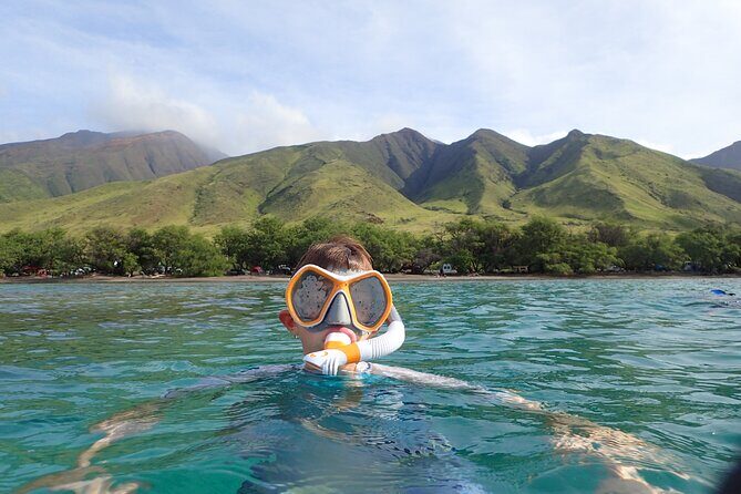 Group Snorkel Excursions in Lahaina, Maui - The Guide Experience and Group Dynamics