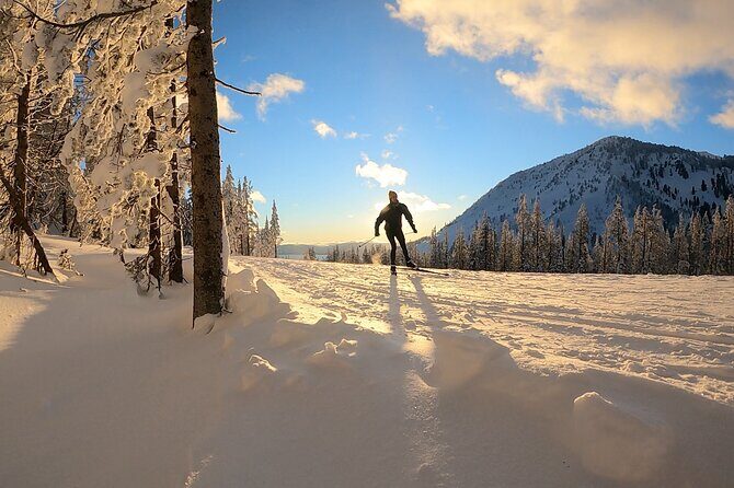 Guided Cross Country Skiing at Lake Tahoe - The Value and Who Will Appreciate This Tour