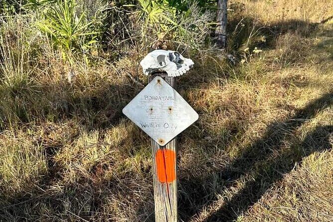 Guided Day Hike Through Florida's wild Backcountry. - The Sum Up: Authentic Nature Encounters in Florida